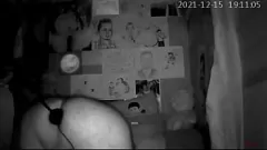 Gwiazda kamery BBW Pedro Pablo Luis używa na sobie grubego czarnego dildo