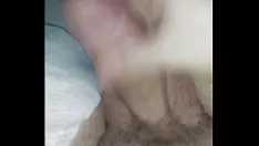 O Pulemare