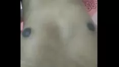 تيرادولسينت