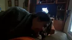 Jouer Me follo a la chacha deretchs de gimpiar