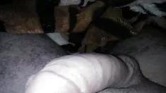 تشغيل بولا مي