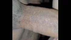 Jouer PAWG