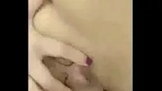 Jouer Orifizio di Hafsa e chiusura del gattino