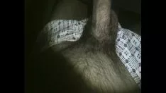Redare Prick & eat my hot savory ne eunectes murinus blimp porn.mp4